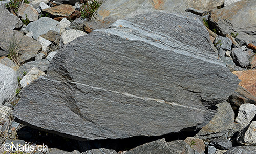 Boudinage in einem Felsblock aus Gneis.