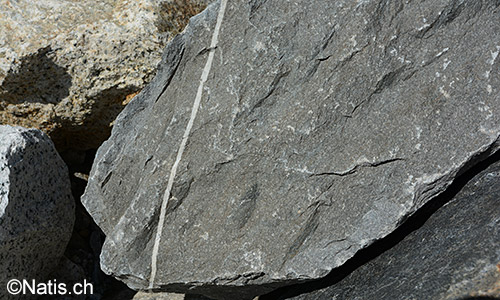 Calcitader in Felsblock aus Kalkgestein.