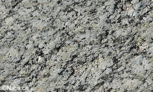 Vom Gletscher geschliffene Felspartie aus Granit (Zentraler Aaregranit).