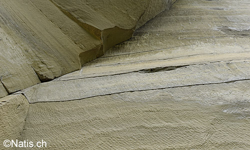 Sandsteinwand in Steinbruch.